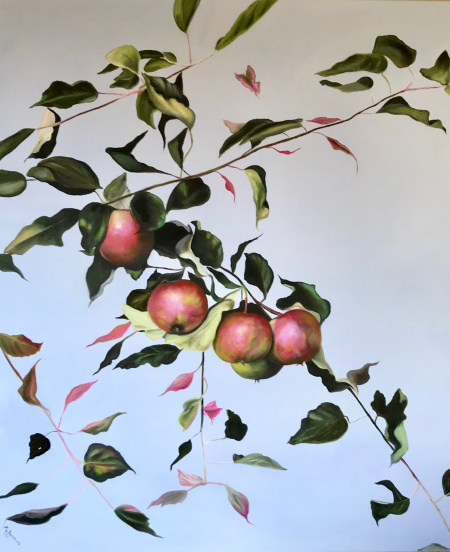 ramo su cielo azzurro, variazione