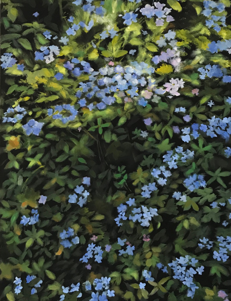 vegetazione ad Ischia