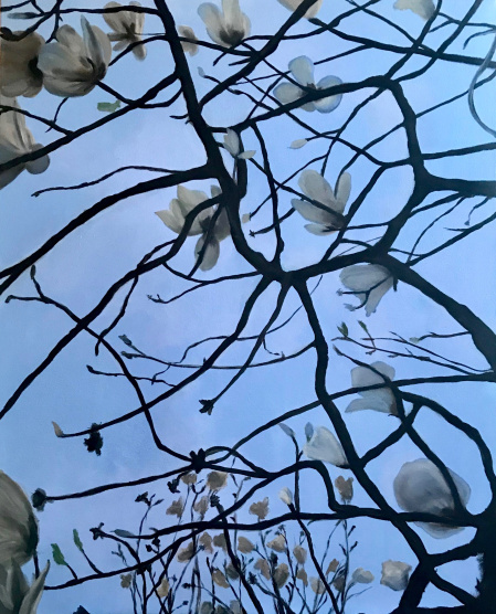 nuova magnolia su azzurro