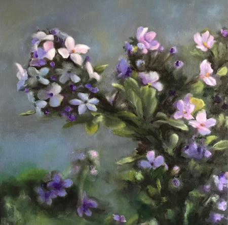 infiorescenze all'Heiligberg